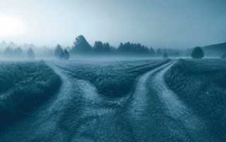 Bifurcação de estrada de terra em campo tranquilo