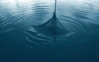 Rede de pesca afundando lentamente em água turva e escura