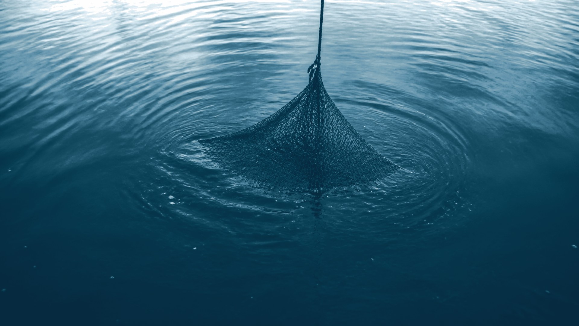 Rede de pesca afundando lentamente em água turva e escura